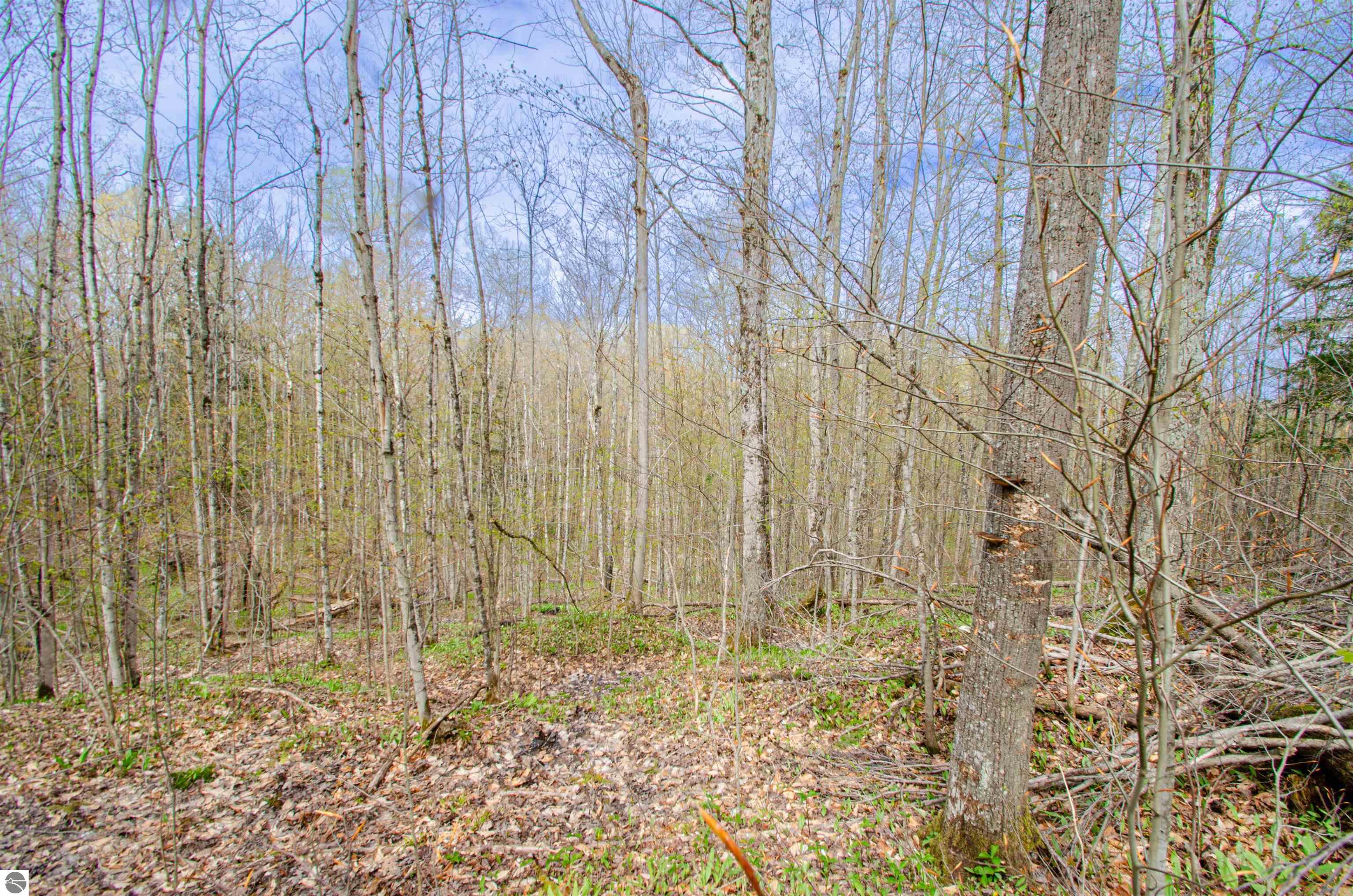 4839 Bunker Hill Road