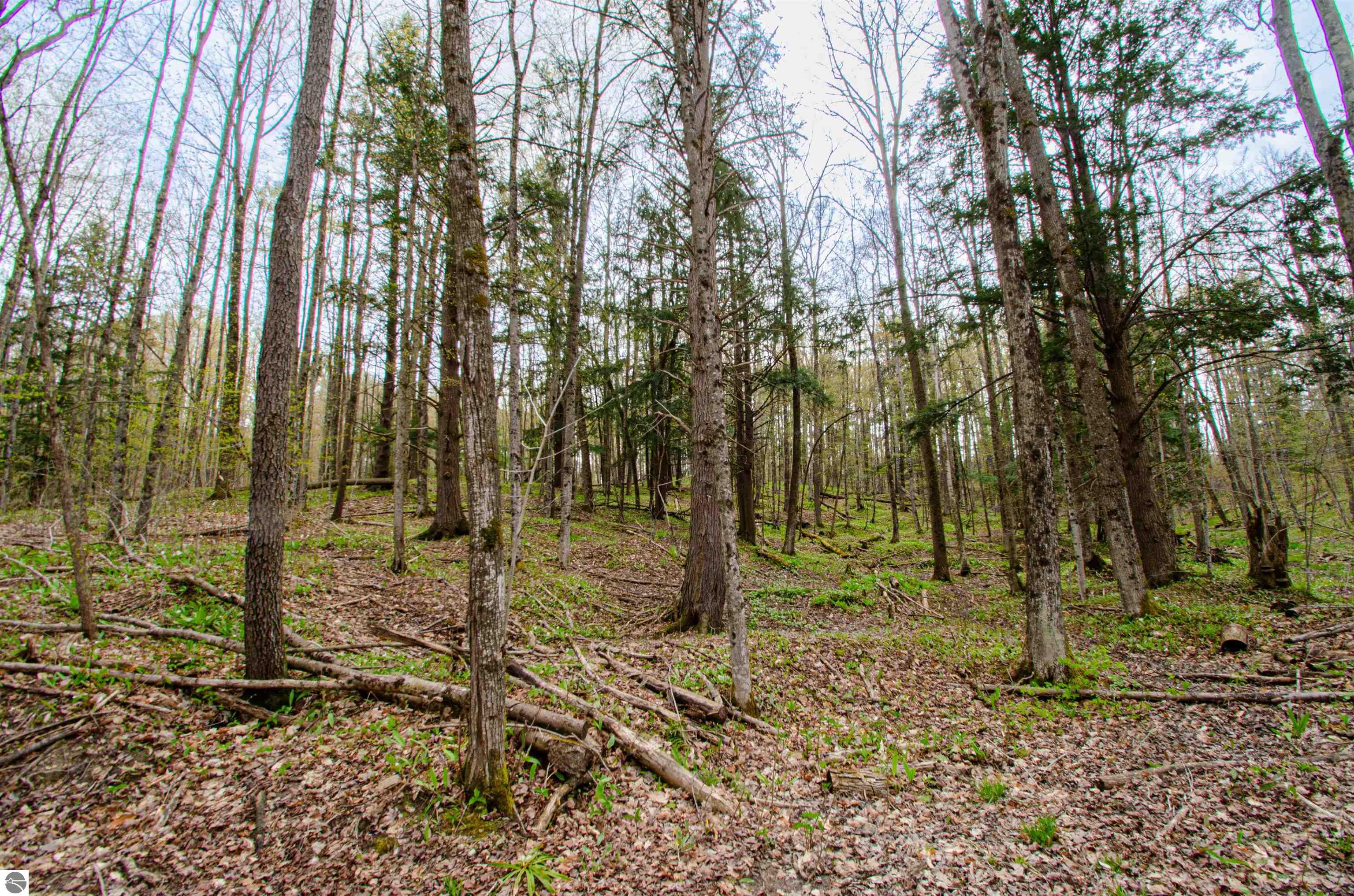 4839 Bunker Hill Road