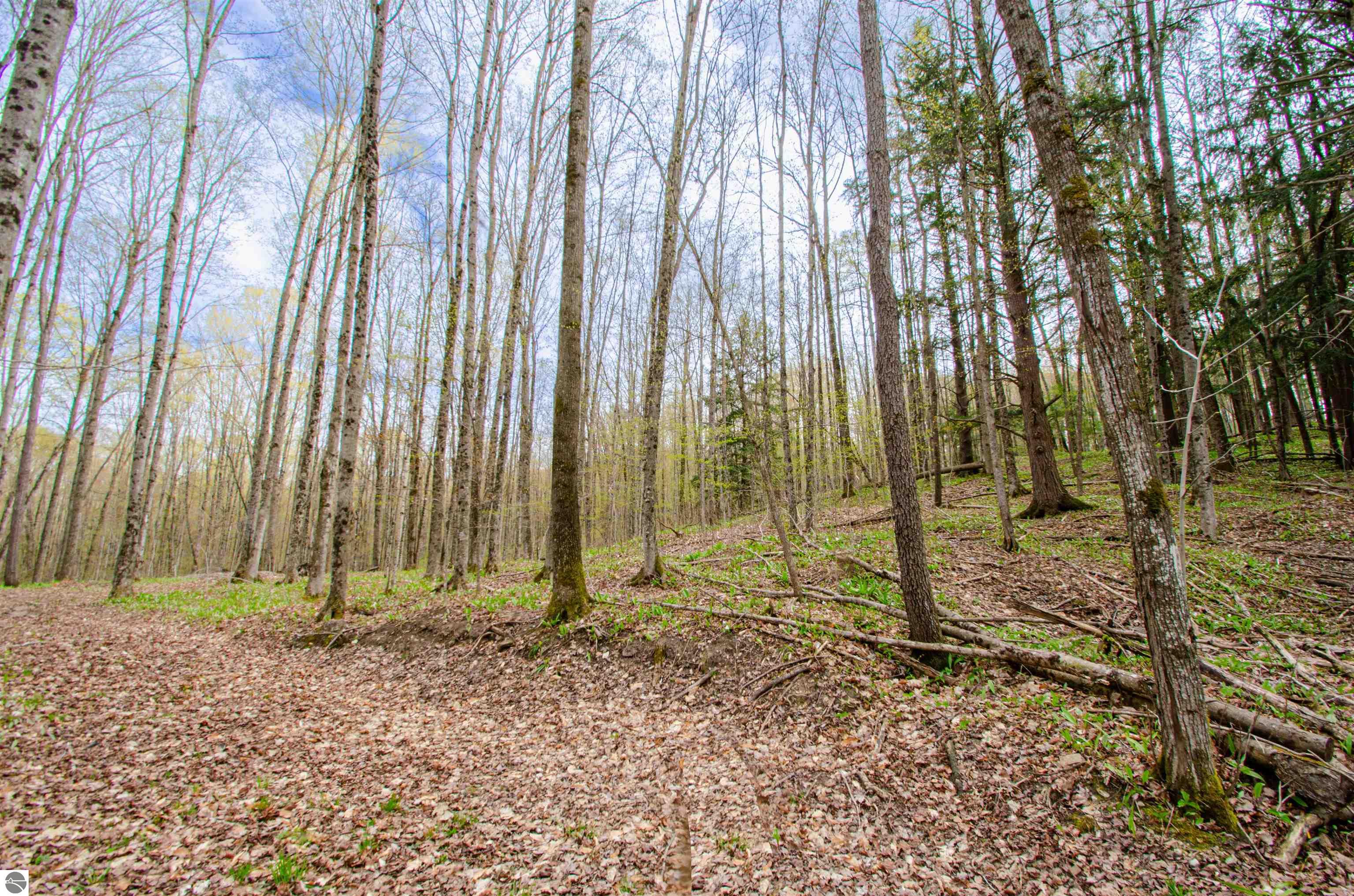 4839 Bunker Hill Road
