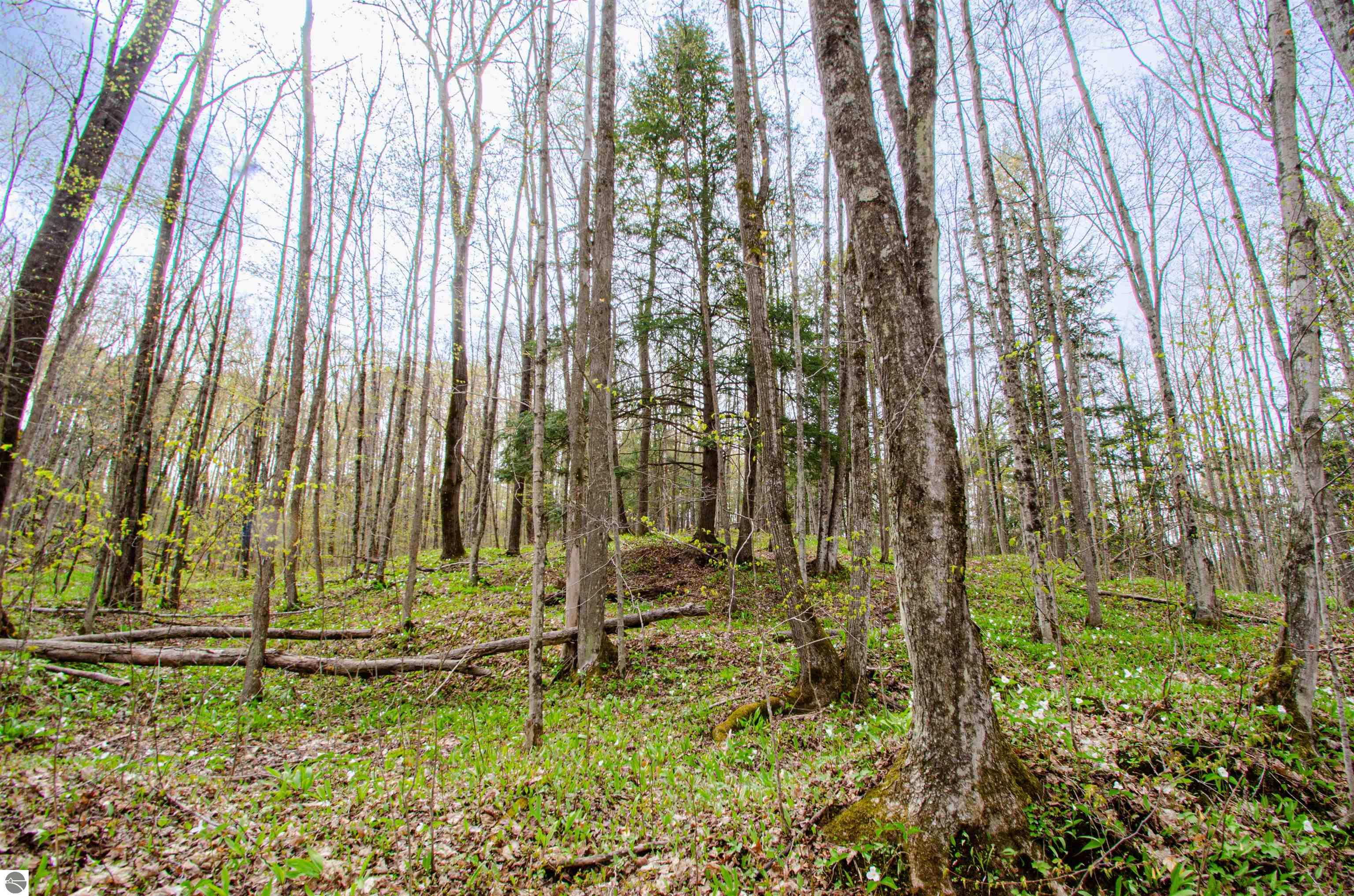 4839 Bunker Hill Road