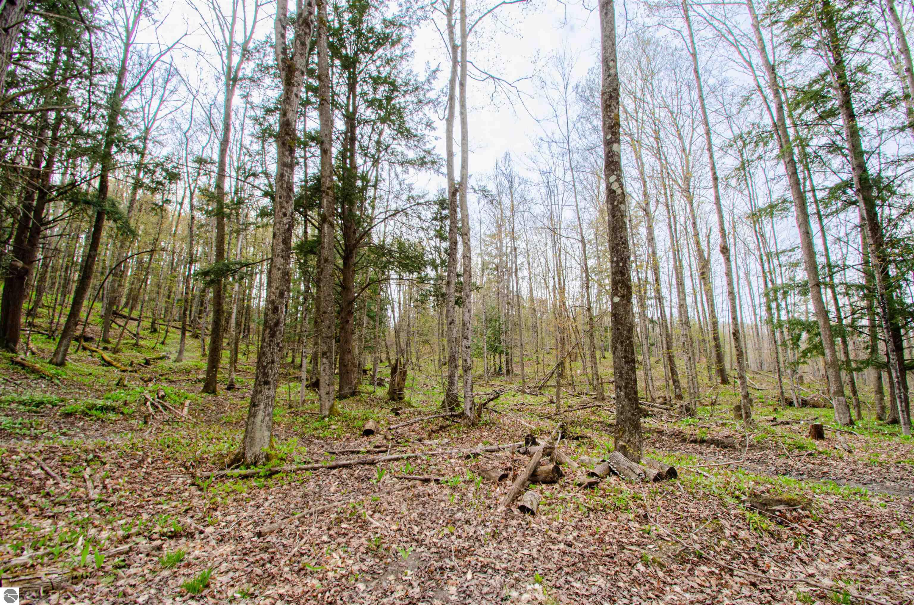 4839 Bunker Hill Road