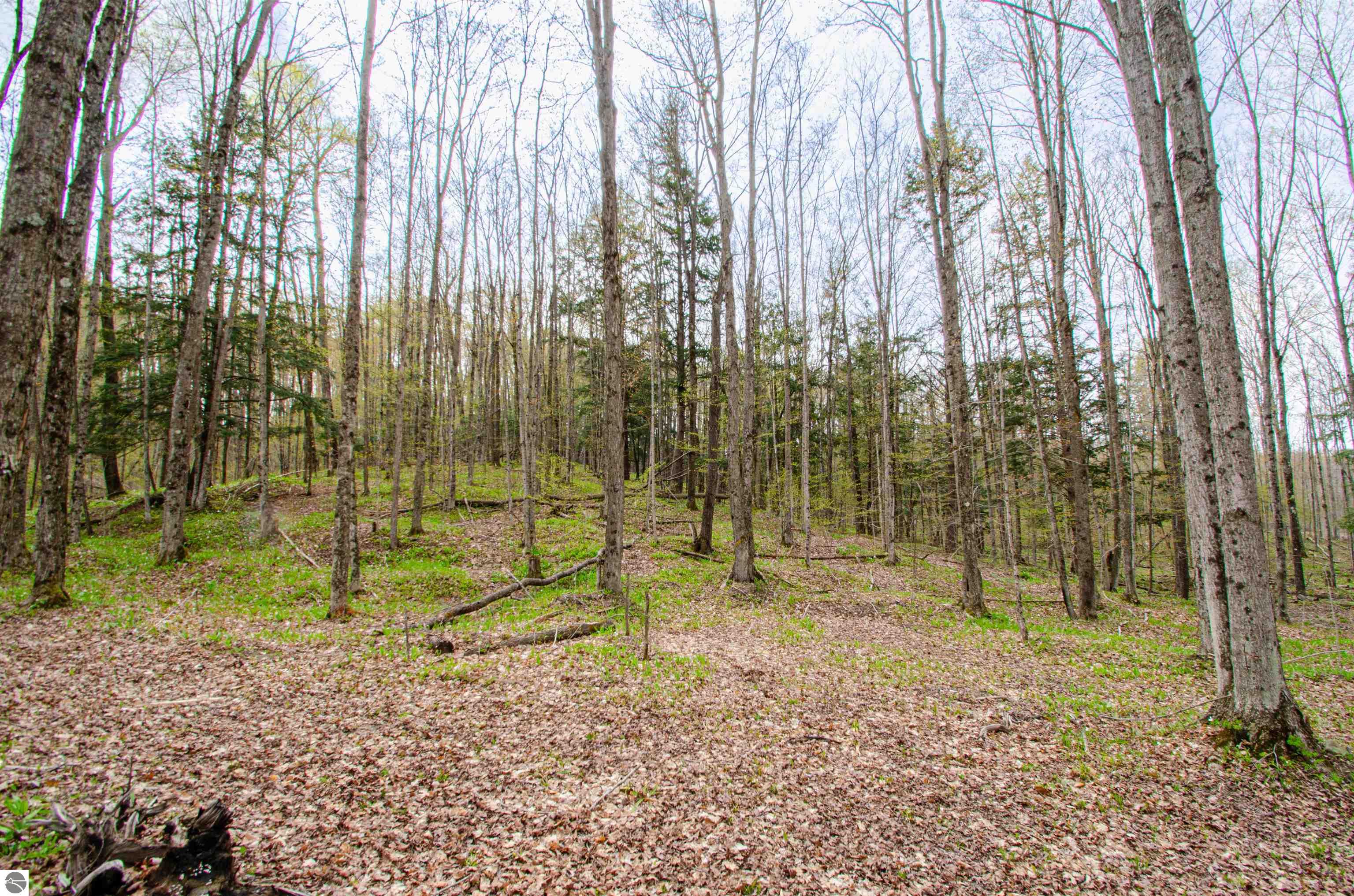 4839 Bunker Hill Road