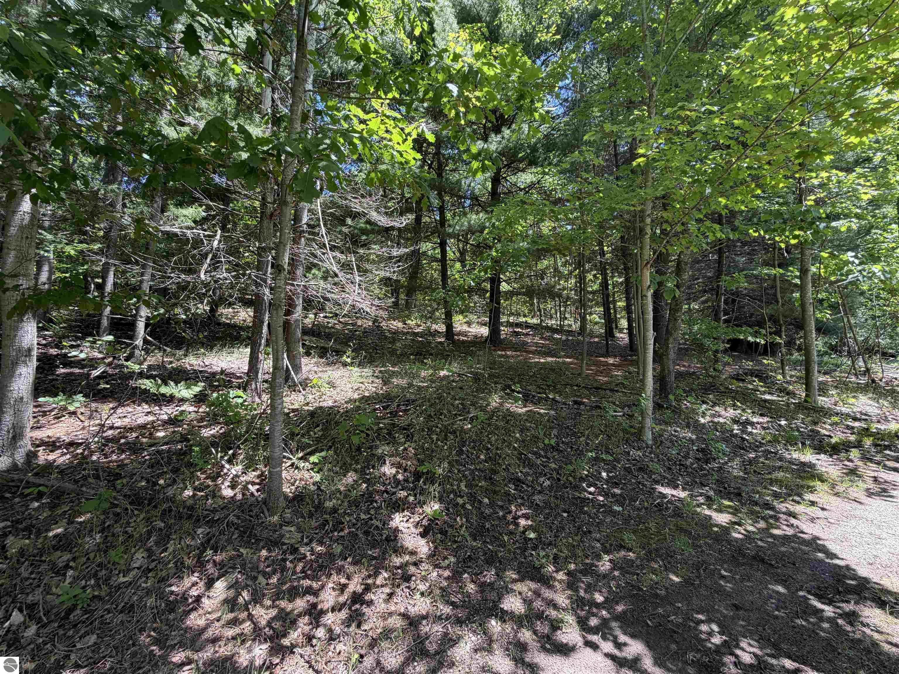 6263 East Jordan Road
