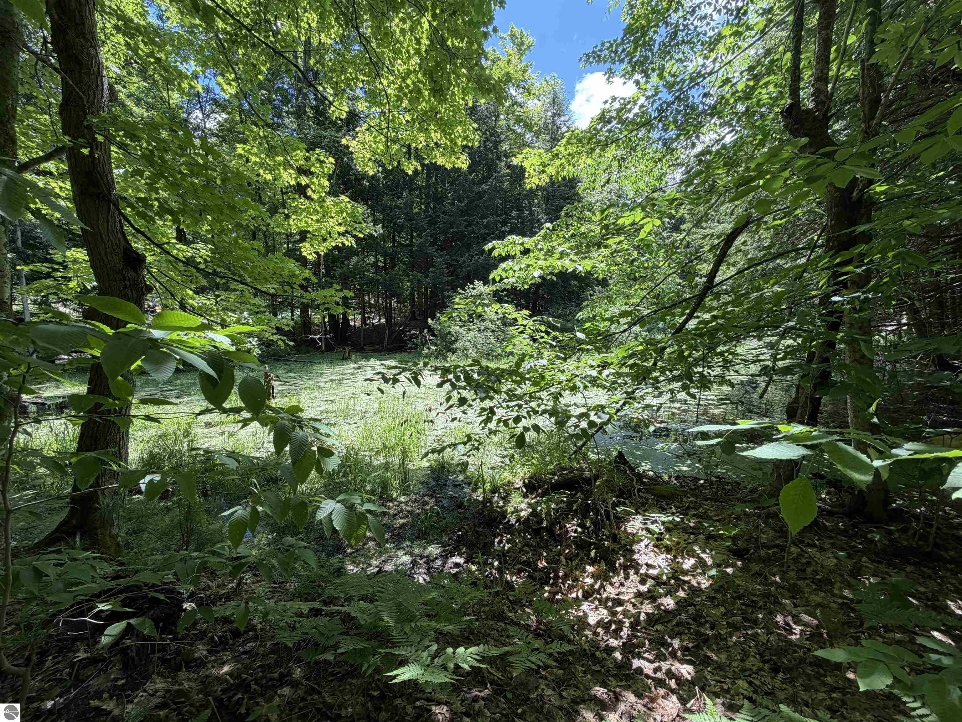 TBD Lake
