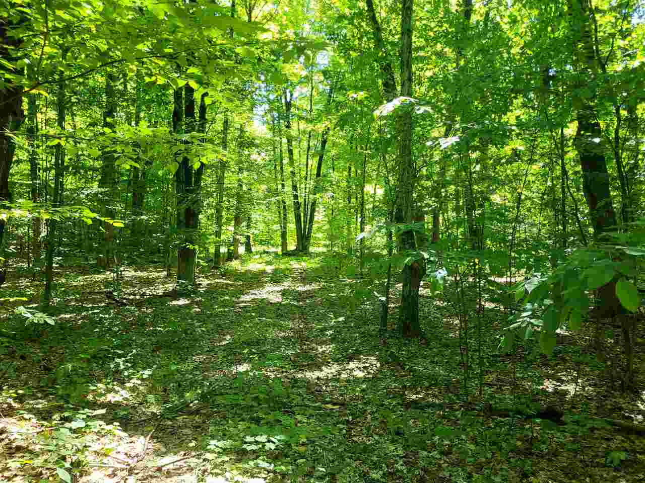 TBD Shumaker Road