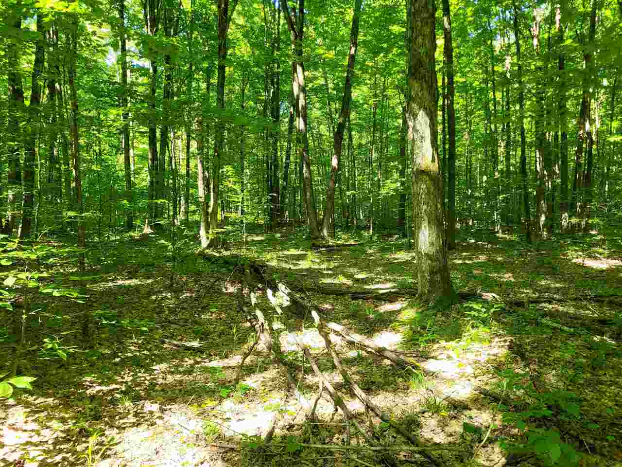 TBD Shumaker Road