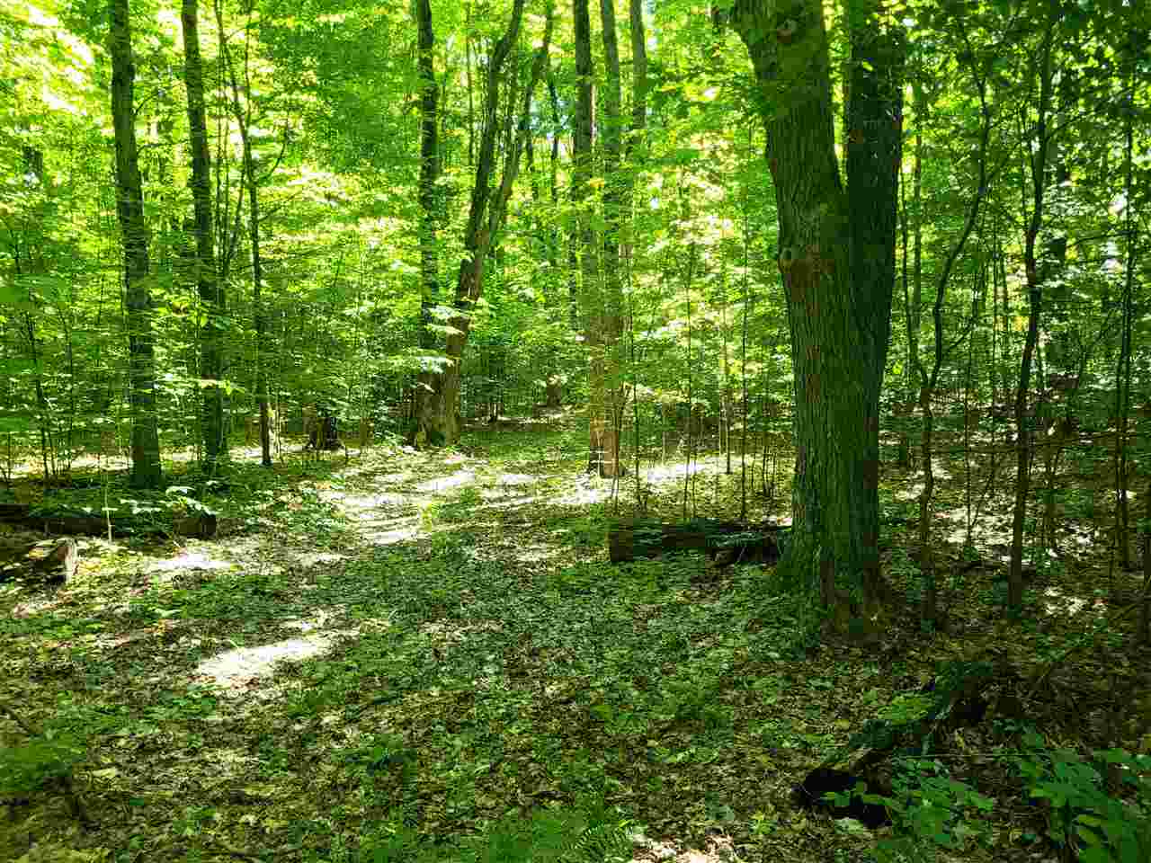 TBD Shumaker Road