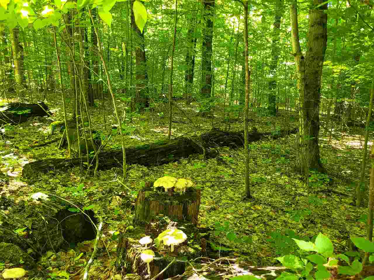 TBD Shumaker Road