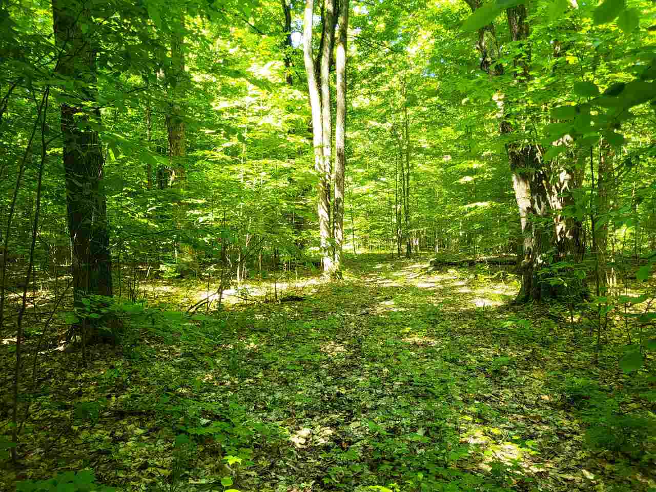 TBD Shumaker Road