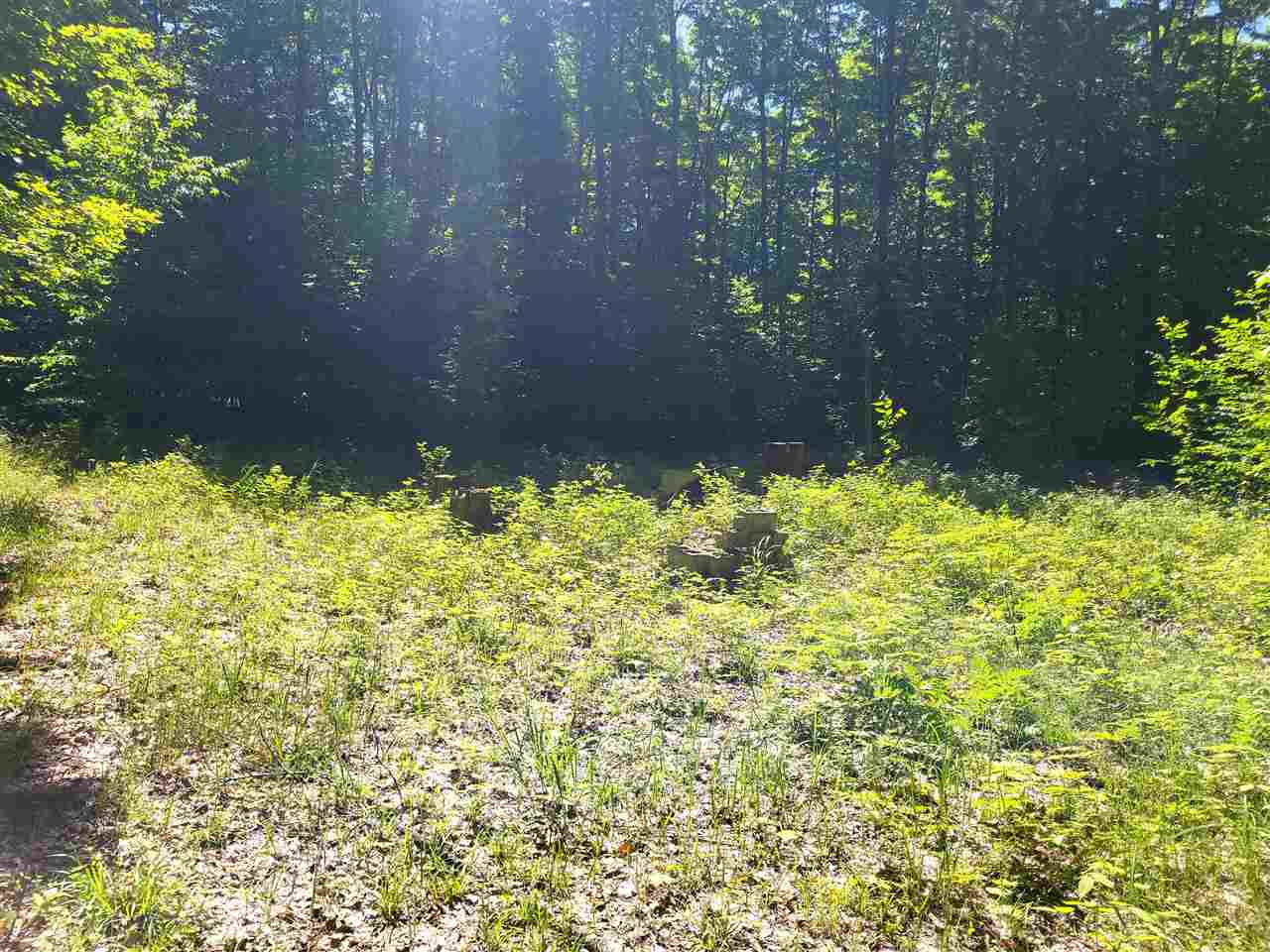 TBD Shumaker Road