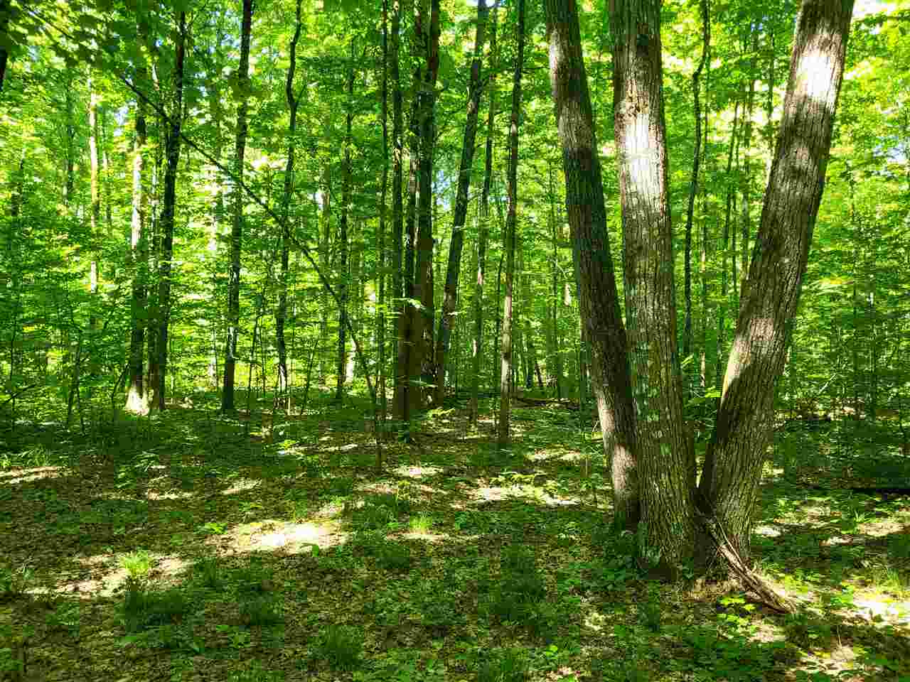 TBD Shumaker Road
