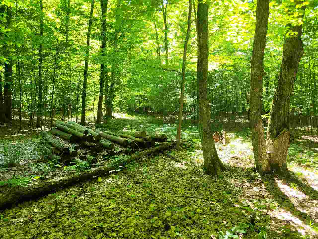 TBD Shumaker Road