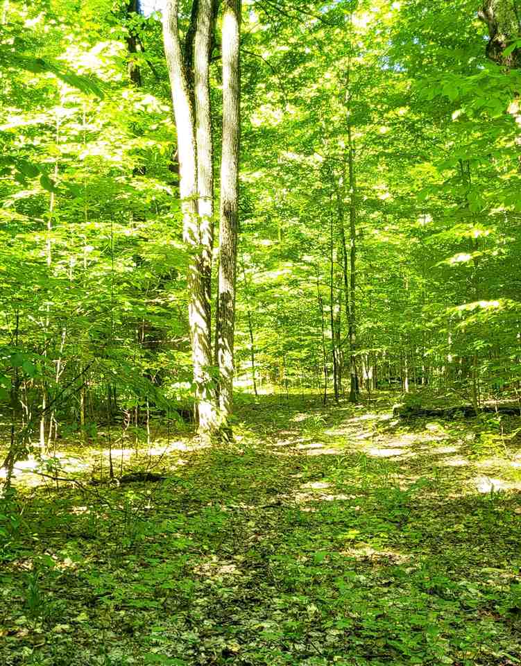 TBD Shumaker Road