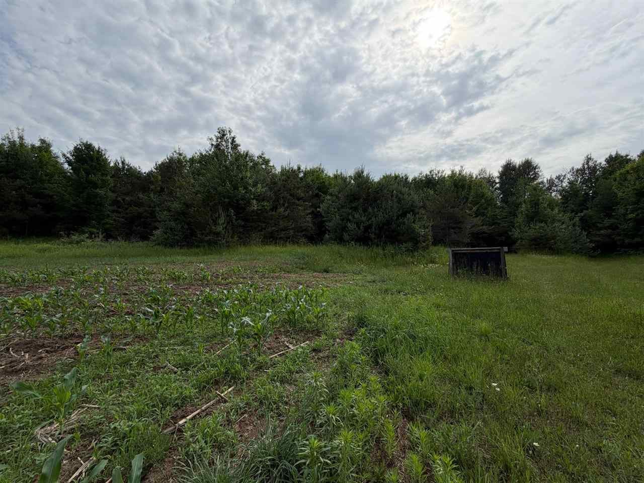 1100 Wangeman Road