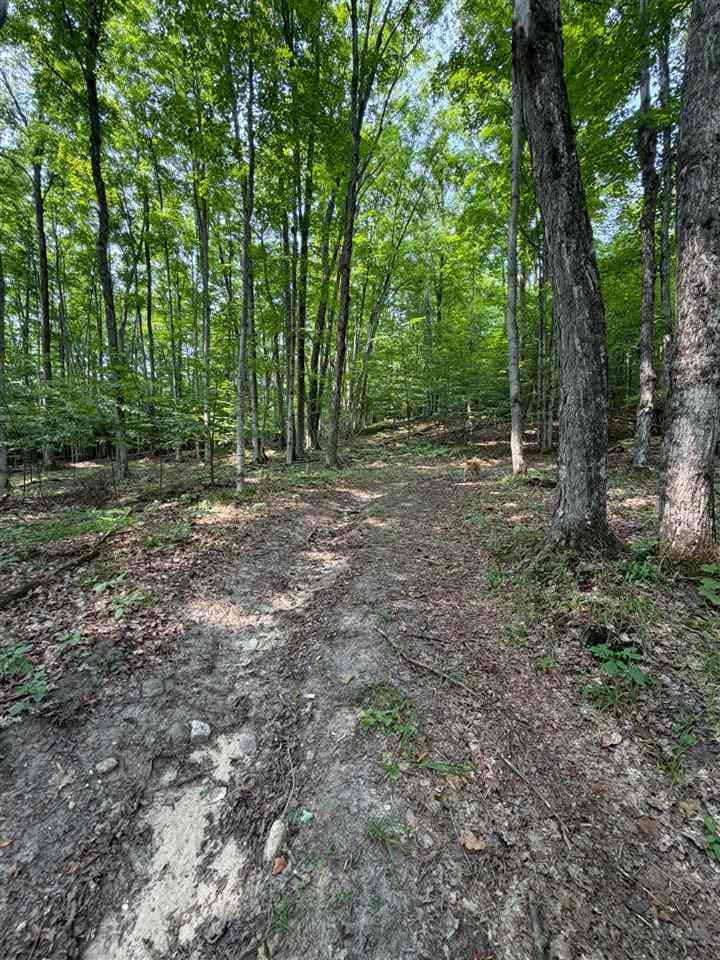TBD Wangeman Road