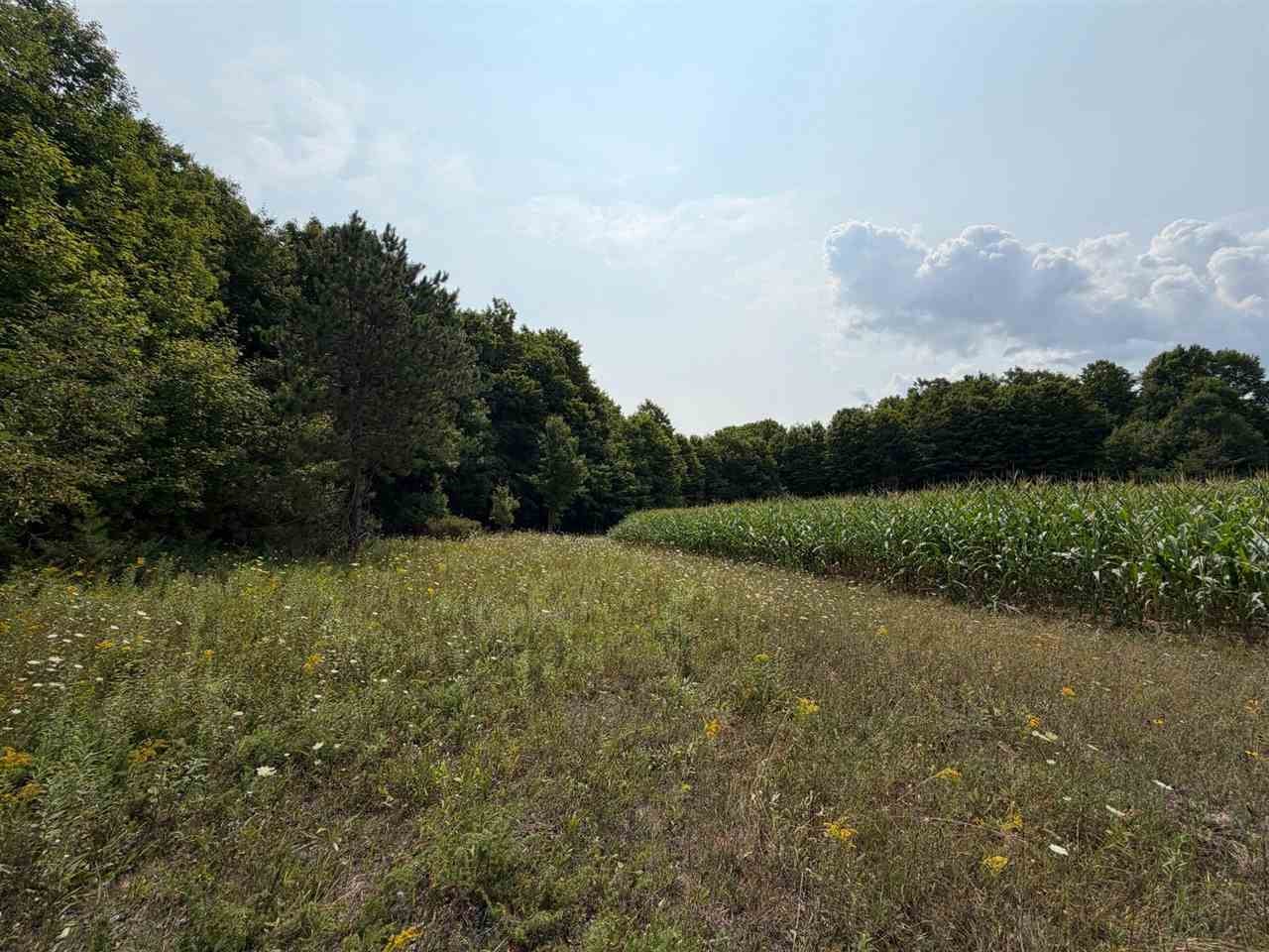 TBD Wangeman Road