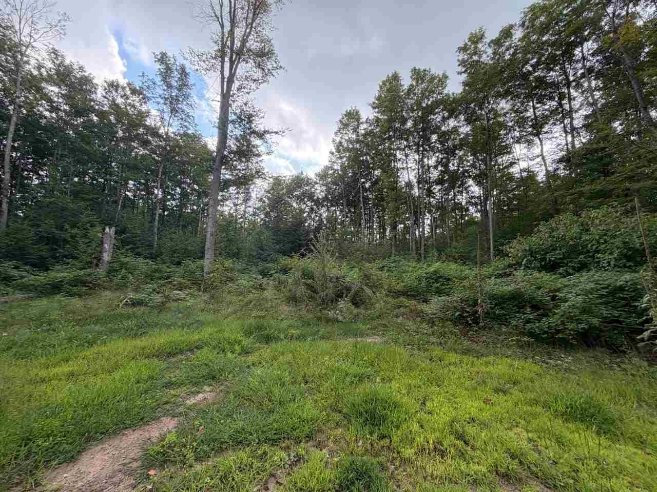 6168 Needles Lane