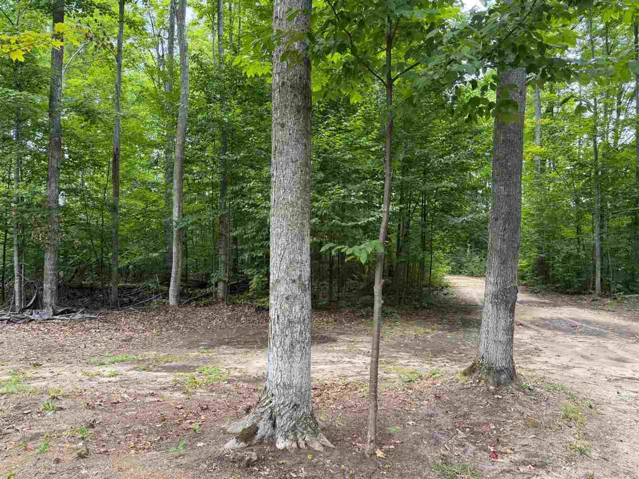 6168 Needles Lane