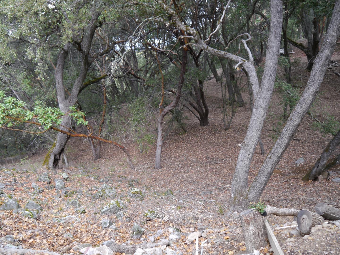 39450 Tassajara Road