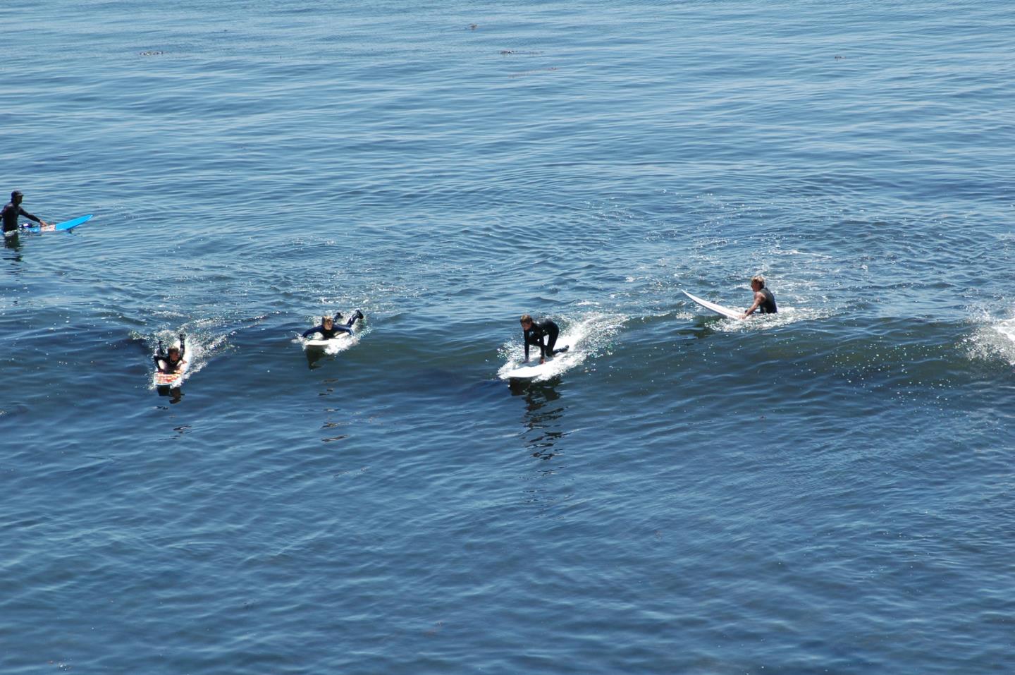 3900 Alameda Avenue C