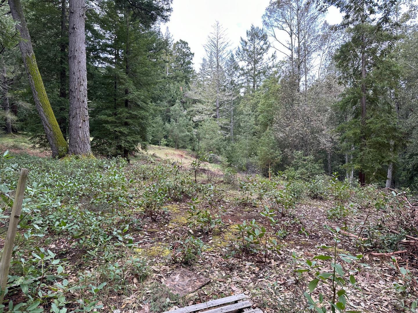 0 Eureka Canyon Road
