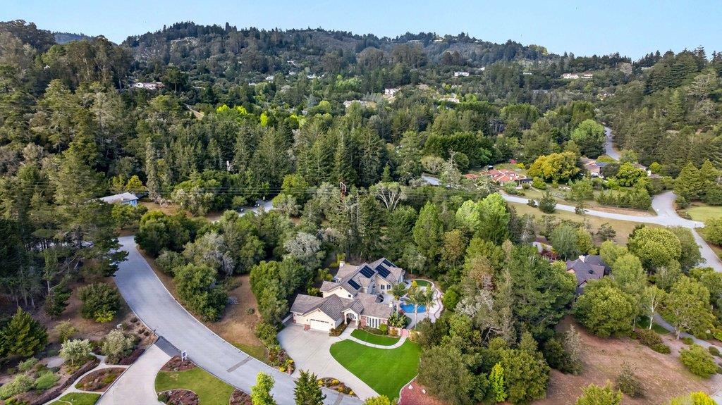 302 Pine Forest Drive