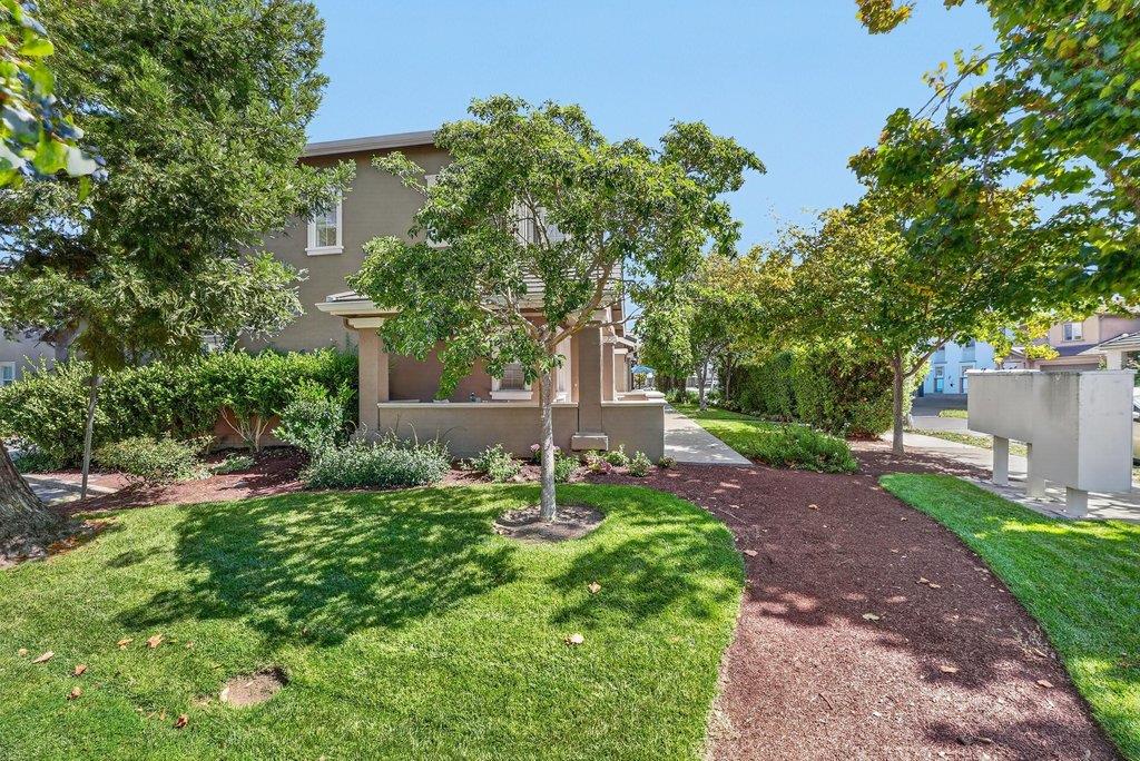 233 Lighthouse DR