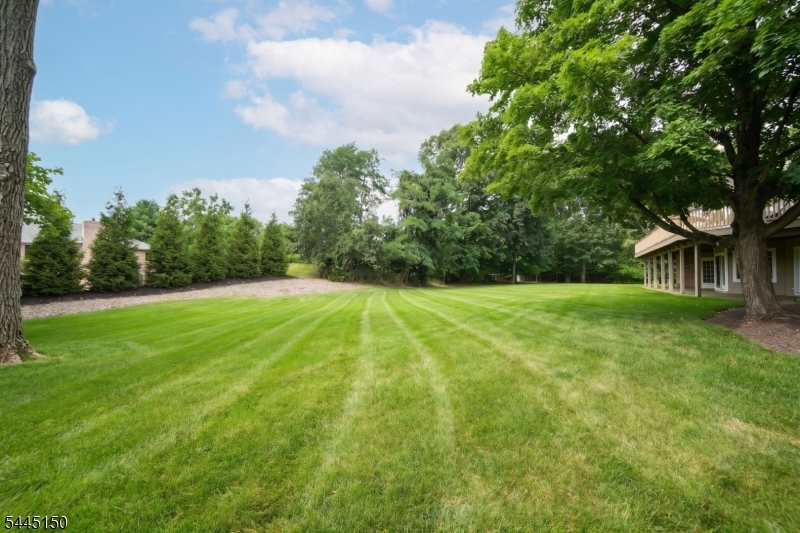 817 Peach Tree Ln