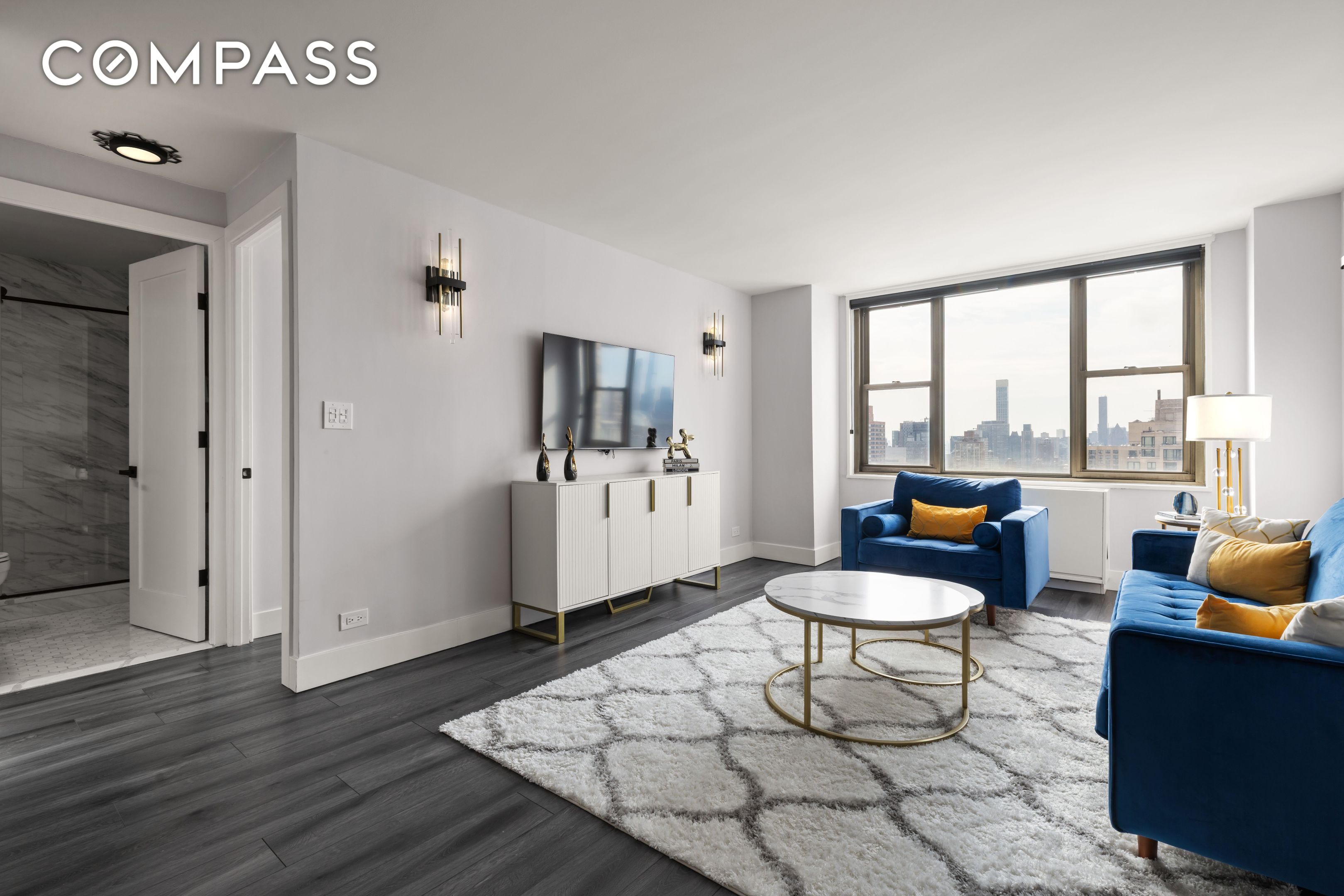 301 E 79th Street 36R