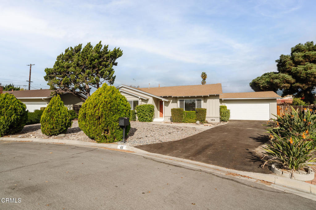 43 E Pamela Road