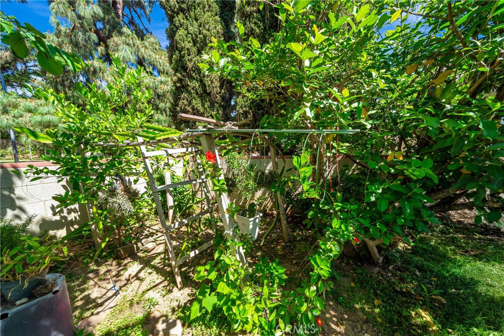 7035 Jon Allan Drive