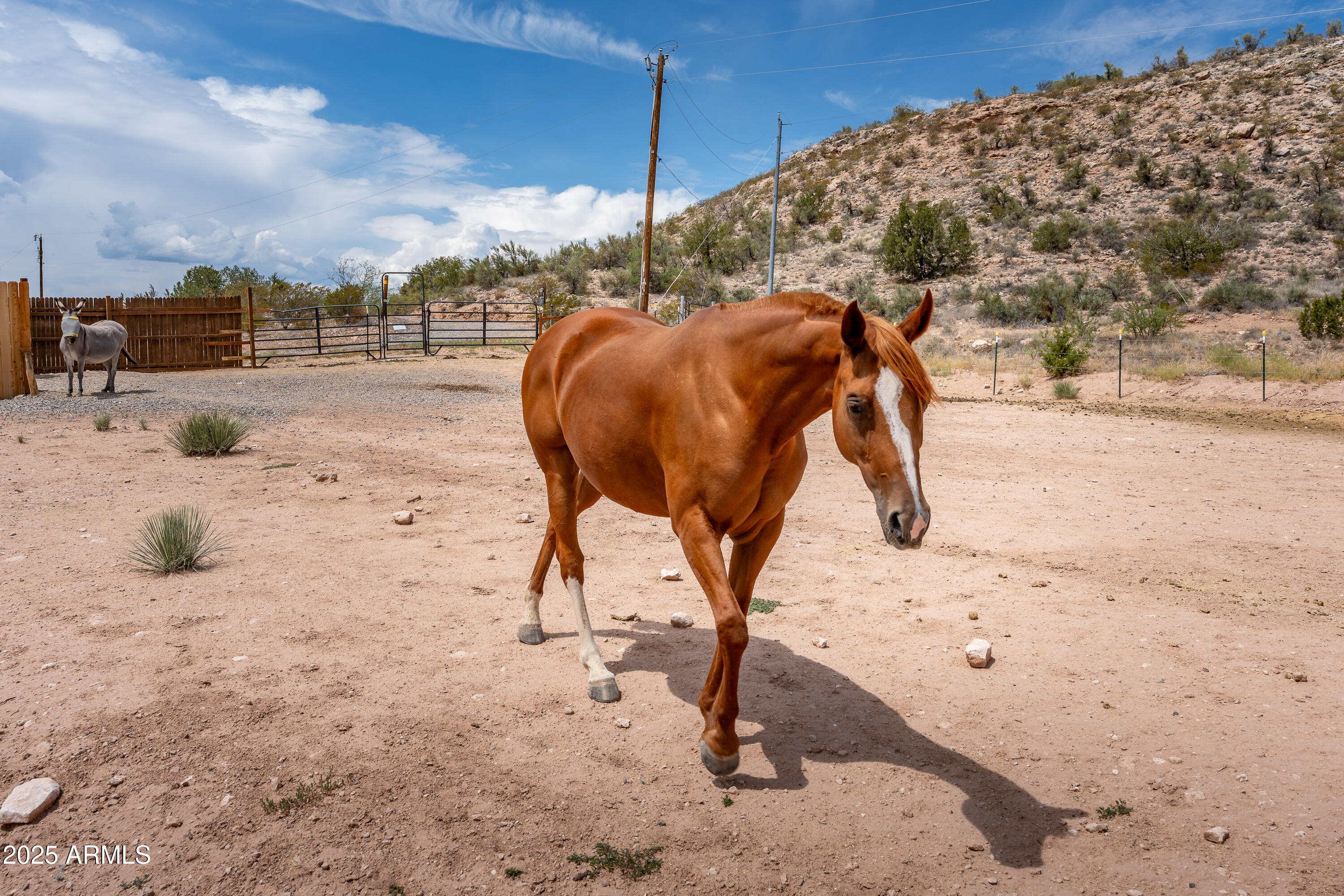 5965 N POINT OF VIEW Trail, Rimrock
