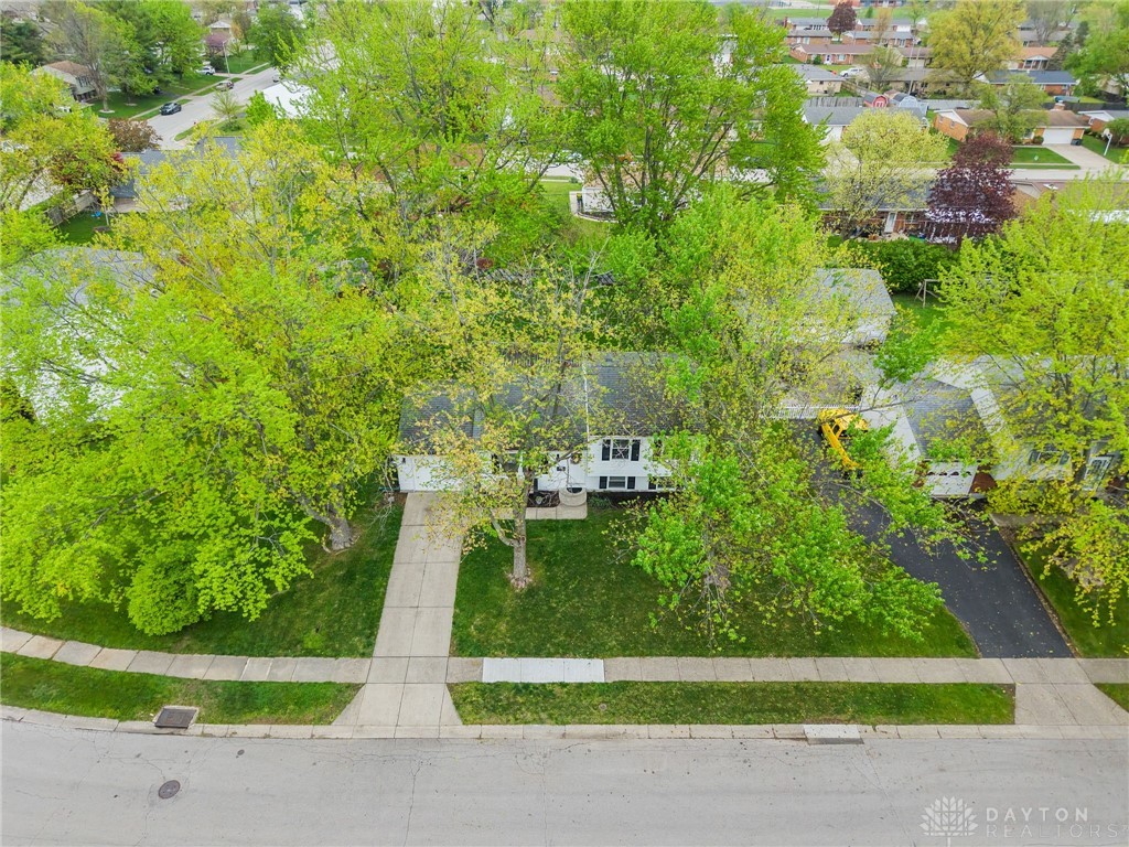 229 Southerly Hills Drive