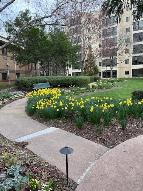 1800 Clairmont Lake Unit A719