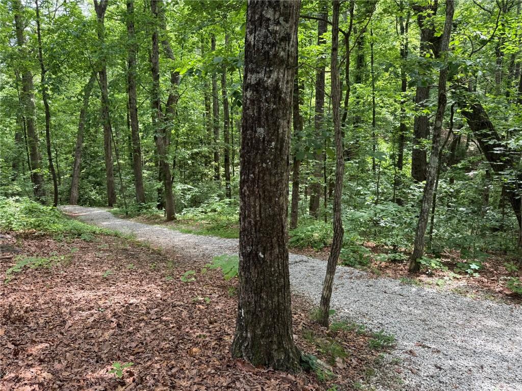 2244 Deer Ridge Drive