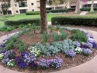 1800 Clairmont Lake Unit A313