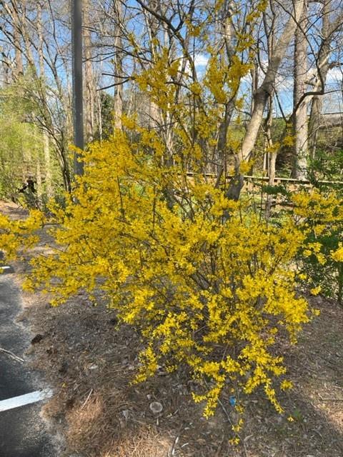 1800 Clairmont Lake Unit A111