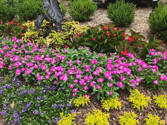 1800 Clairmont Lake Unit A111