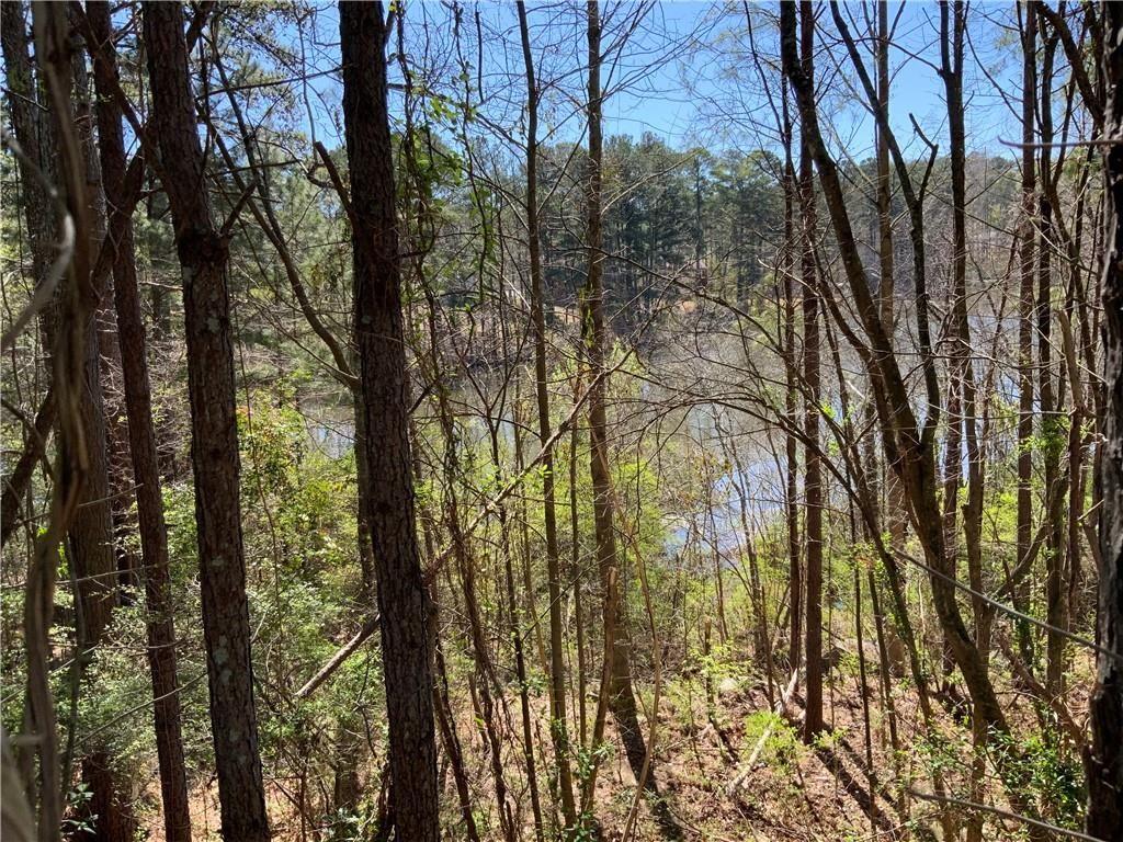 2324 Carrington Drive