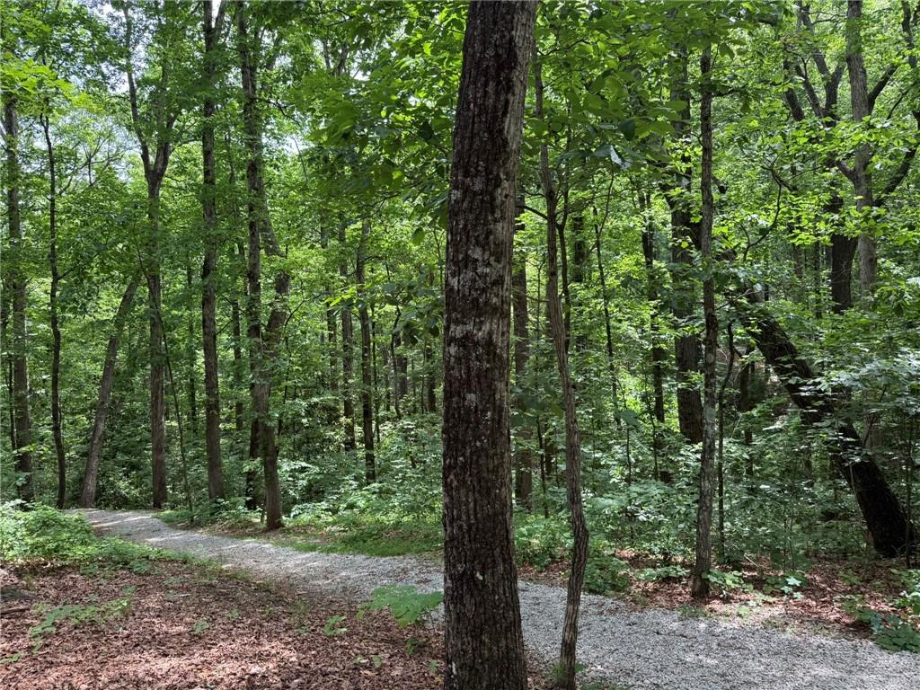 2305 Mountain West Trail