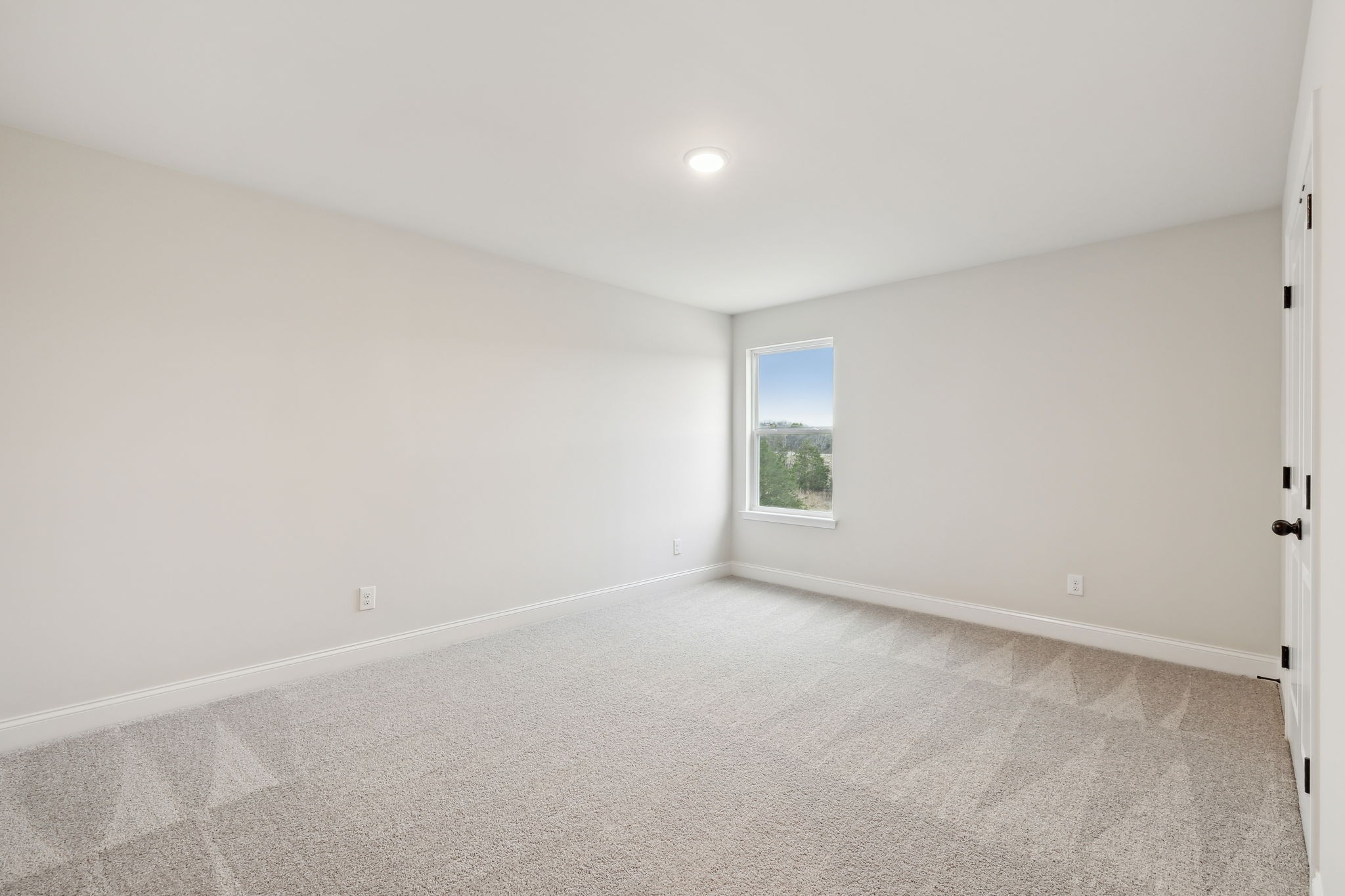 106 Emeline Way
