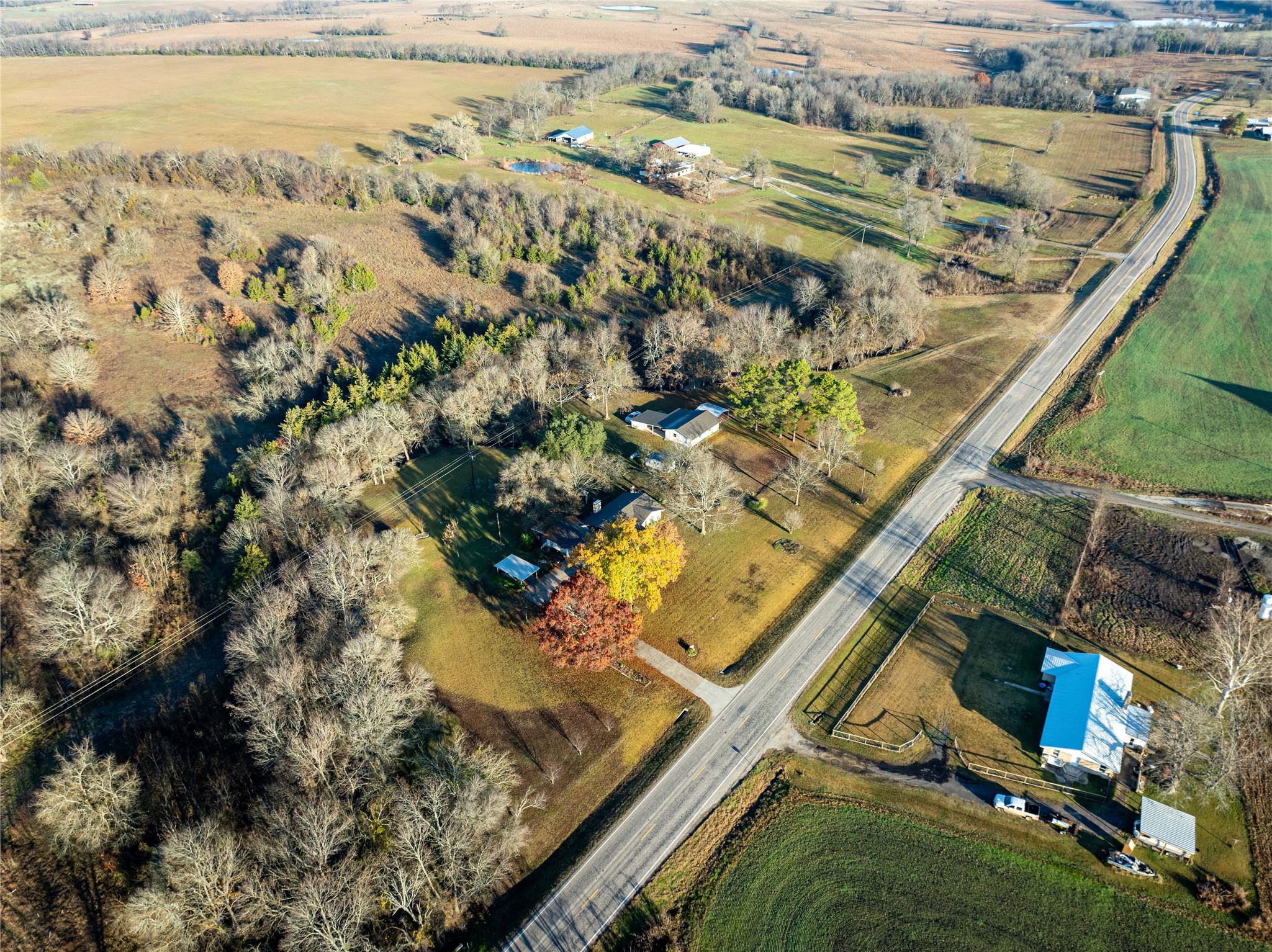 1409 Farm Road 1159