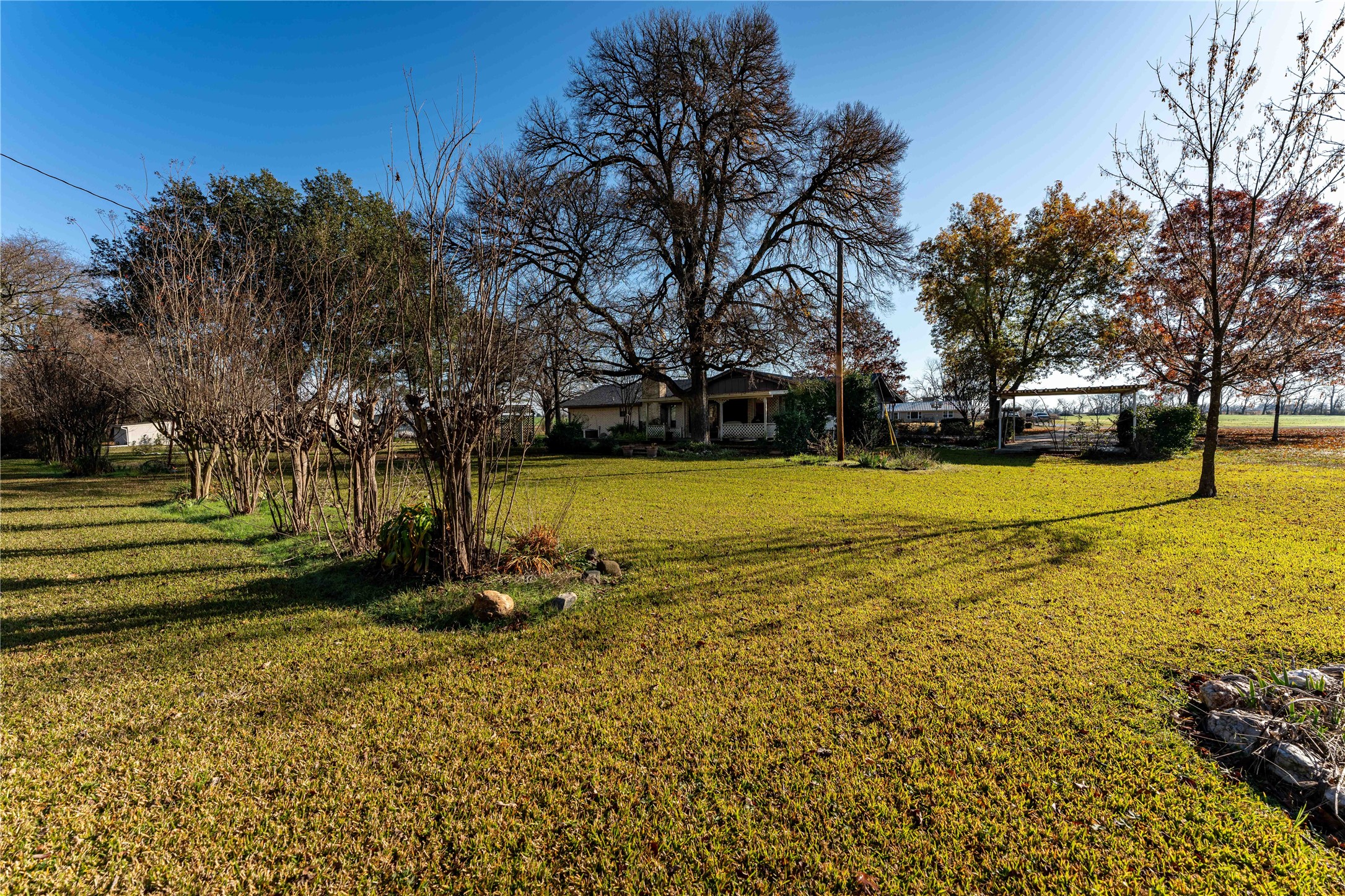 1409 Farm Road 1159