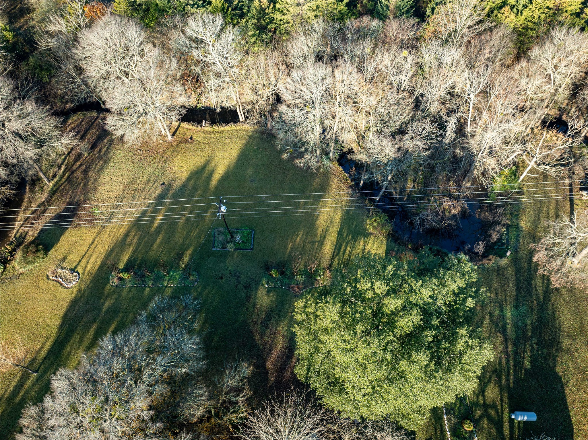 1409 Farm Road 1159