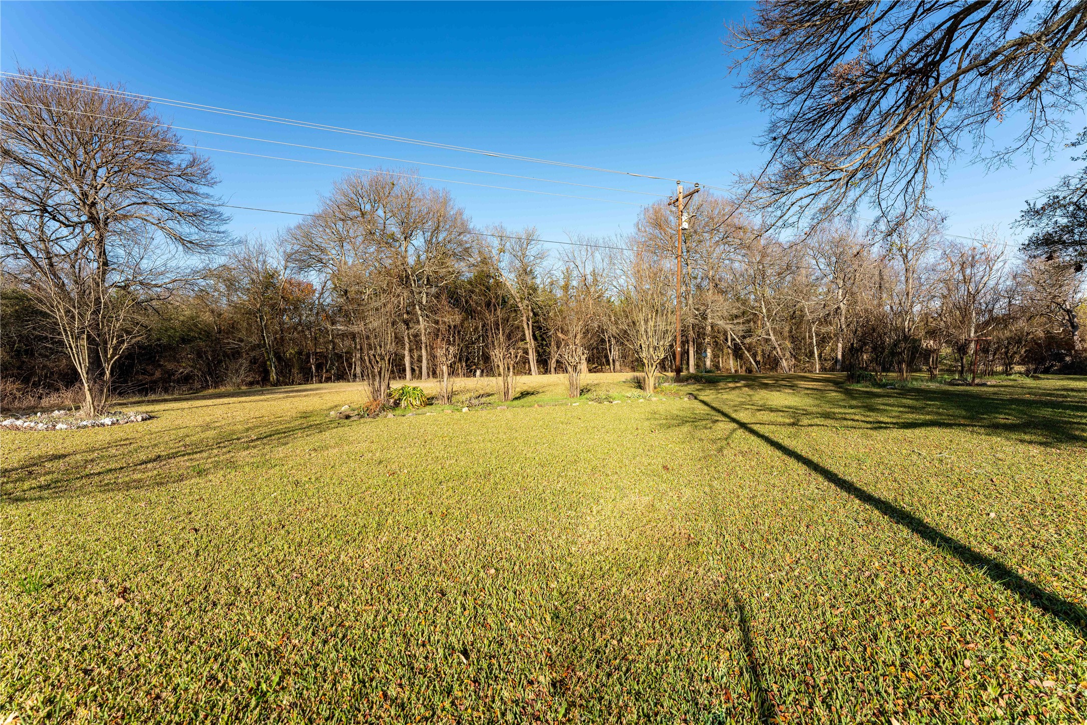 1409 Farm Road 1159