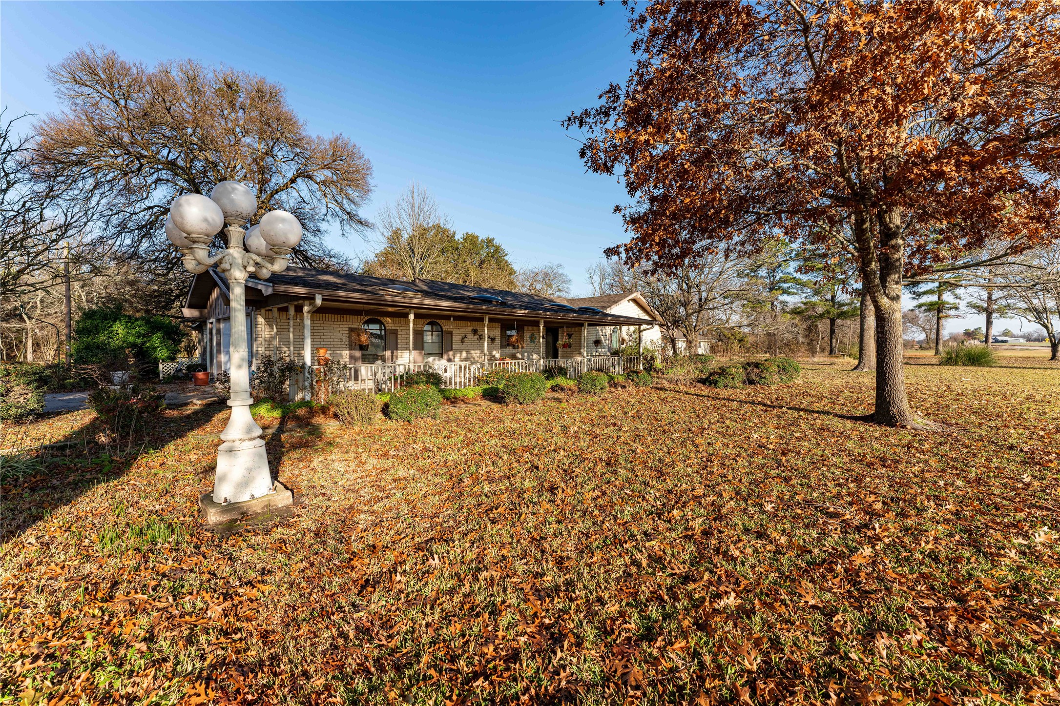 1409 Farm Road 1159