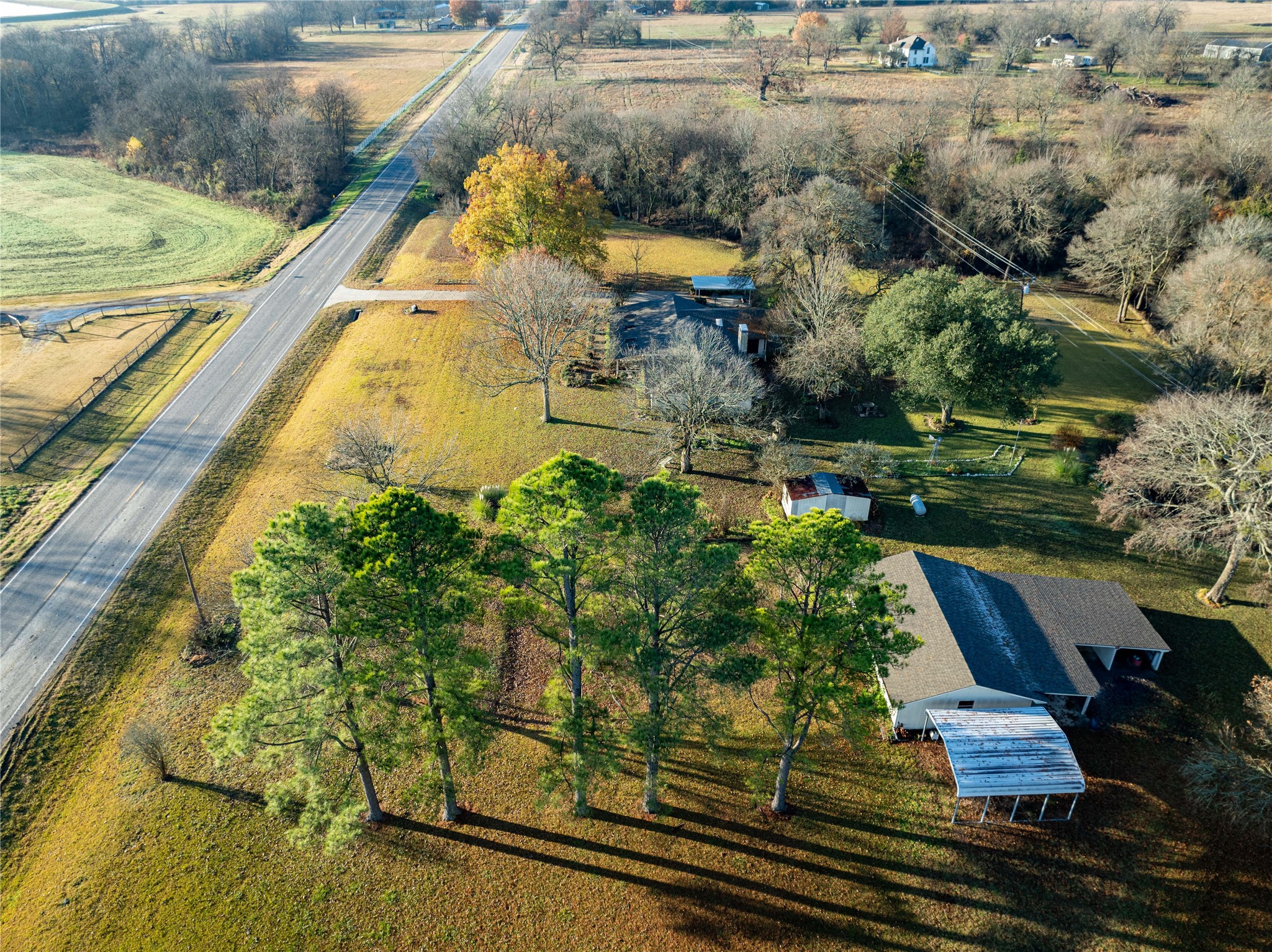 1409 Farm Road 1159
