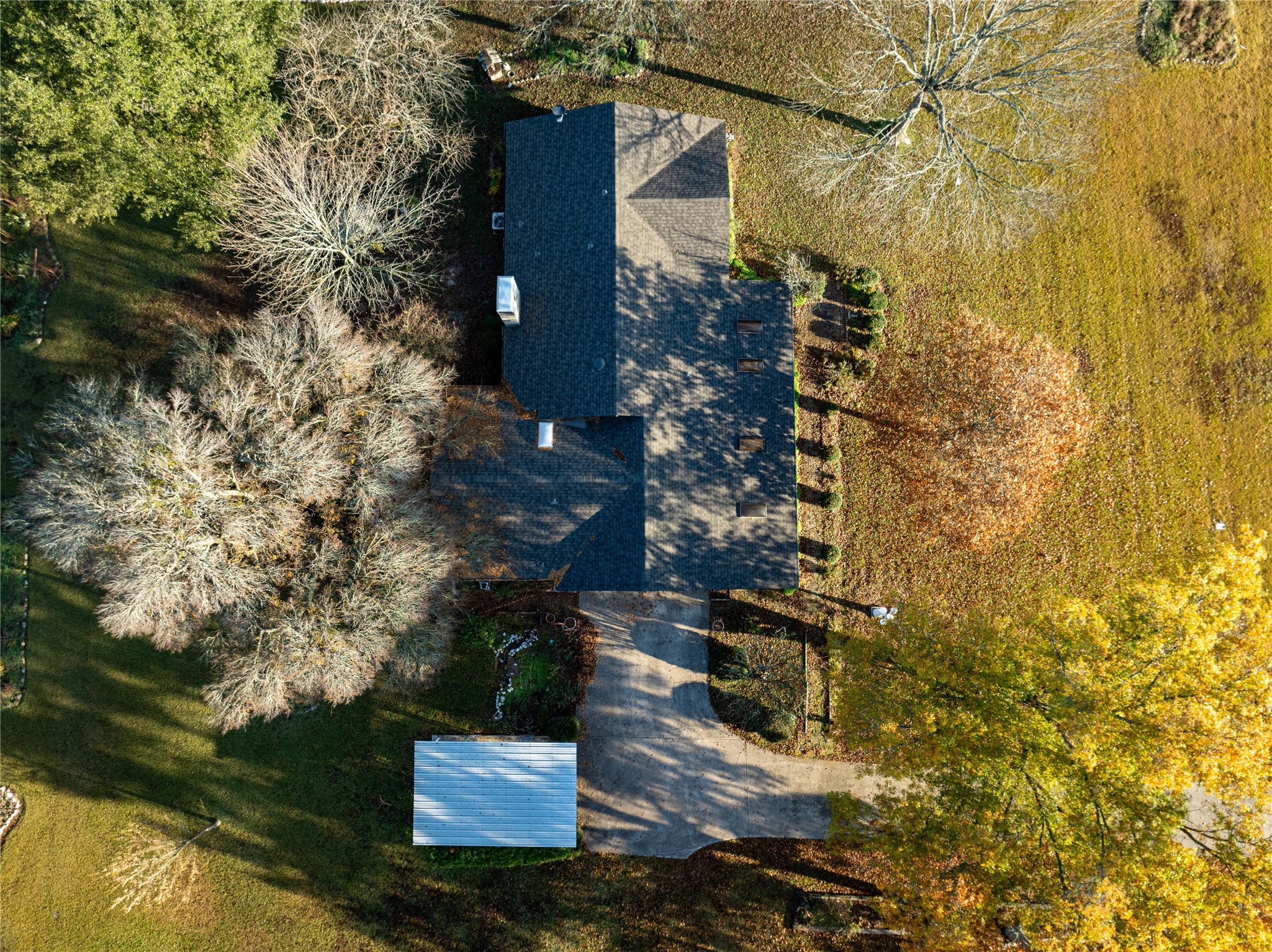 1409 Farm Road 1159