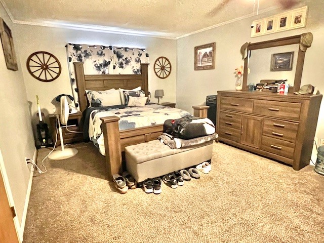 195 Comanche Circle