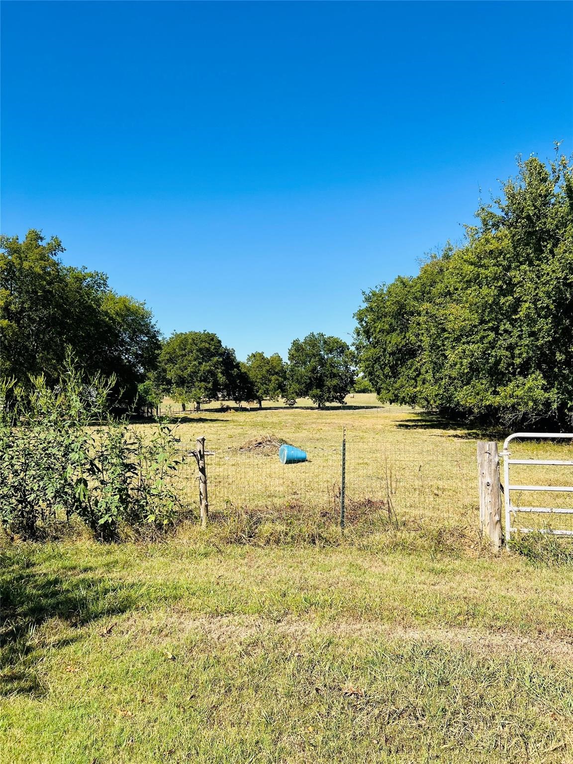 7155 Farm Road 1499